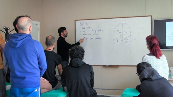 curso de osteopatía craneal en centro de formación en salud integrativa ISMET Barcelona