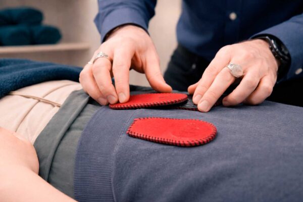 Biomagnetismo terapéutico, avanzado Biomagnetismo terapéutico, avanzado nivel 2, enfermedades complejas