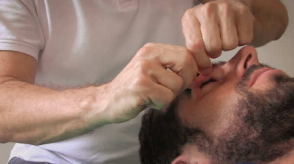 Shiatsu y órganos sensoriales vista, oído, olfato, en centro de formación ISMET Barcelona
